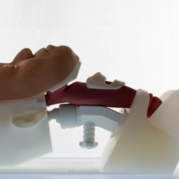 DSC_0100_2024-05-07-171028 copy