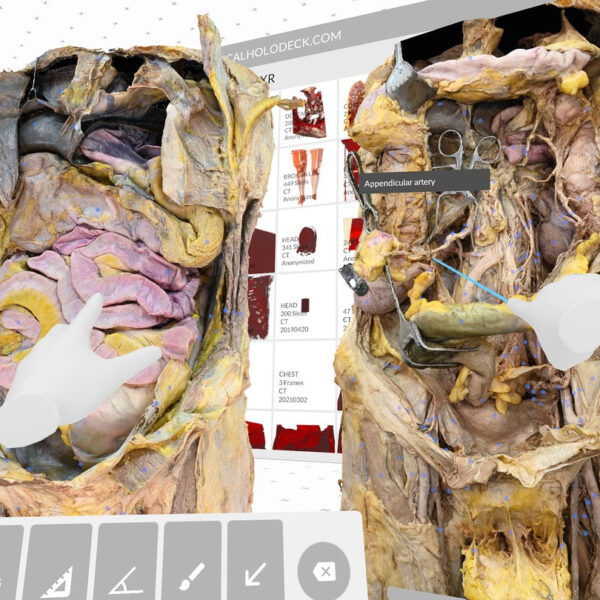 Dissection Master XR 2