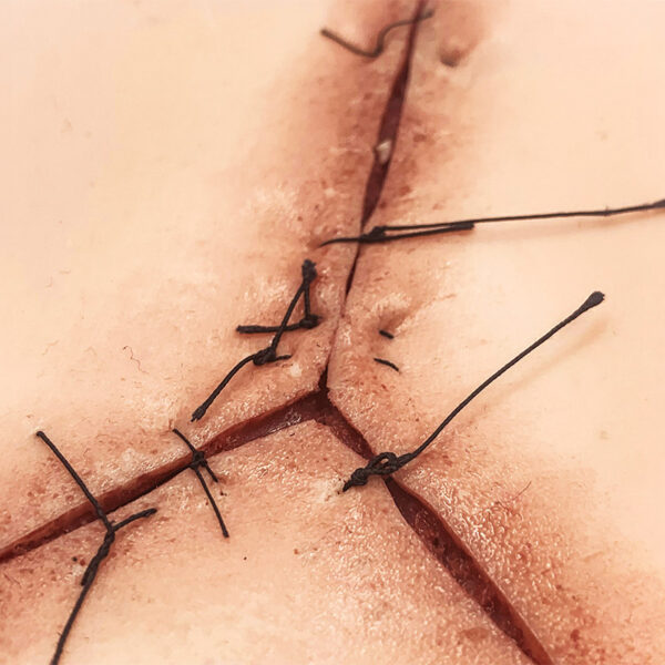 Piel avanzada con 1 Herida