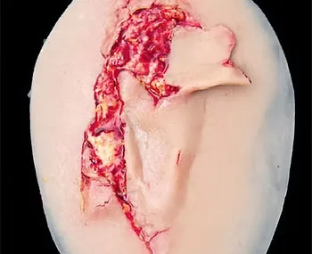 consumable-cuts-large (1)